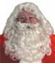 Picture of Father Christmas Beard