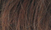 Chocolate/Mix