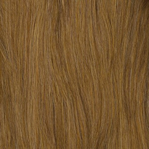 27H Light Auburn/Blonde Mix